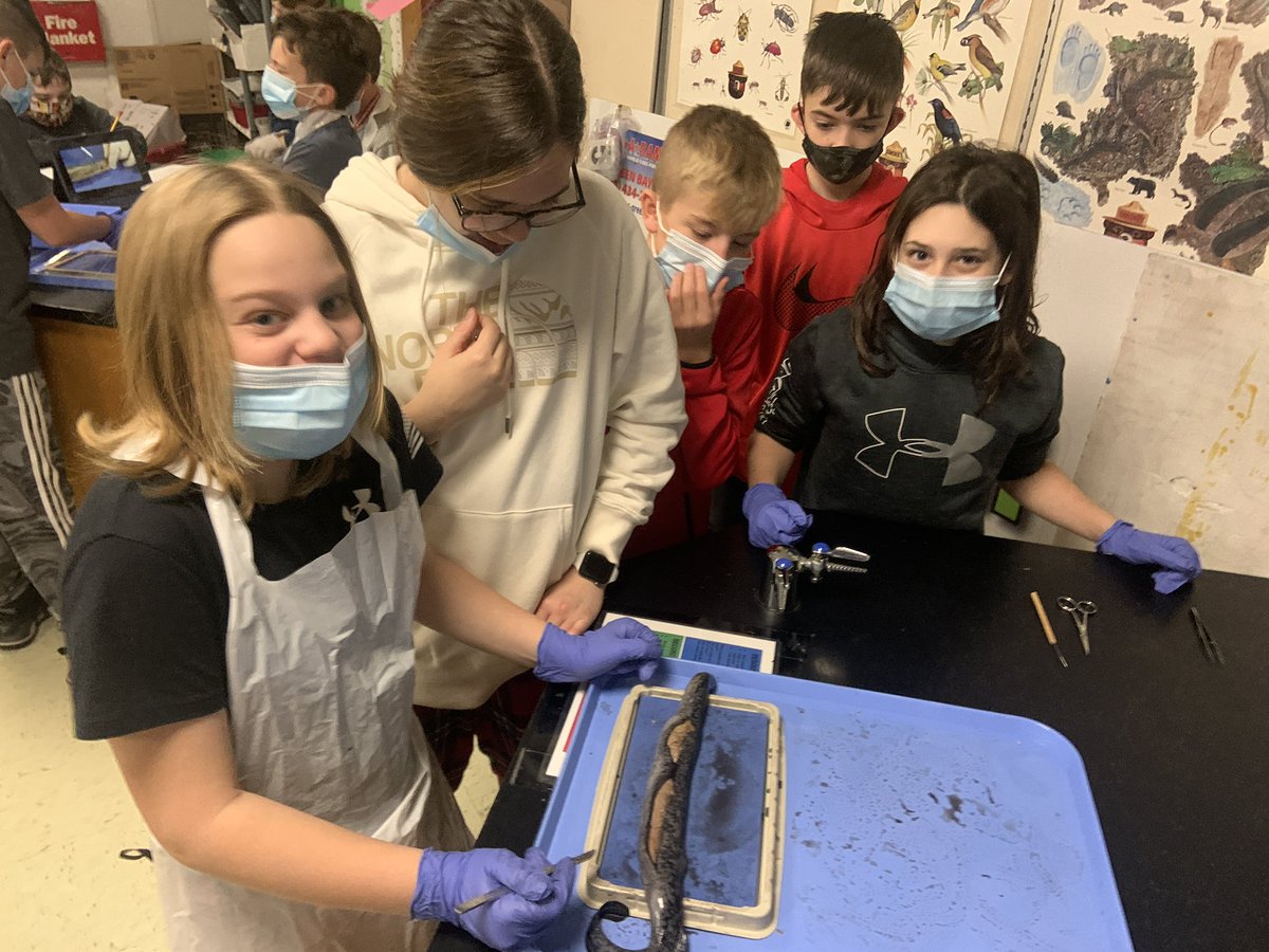 Dlanderspulaski's tweet photo. A big thanks to @LampreyControl for the #sealamprey specimens as @PCSD_PCMS students explore structure/function and #GreatLakes ecosystem #greatlakesliteracy @UWiscSeaGrant #RaiderStrong https://t.co/Y4R9pU3SvD