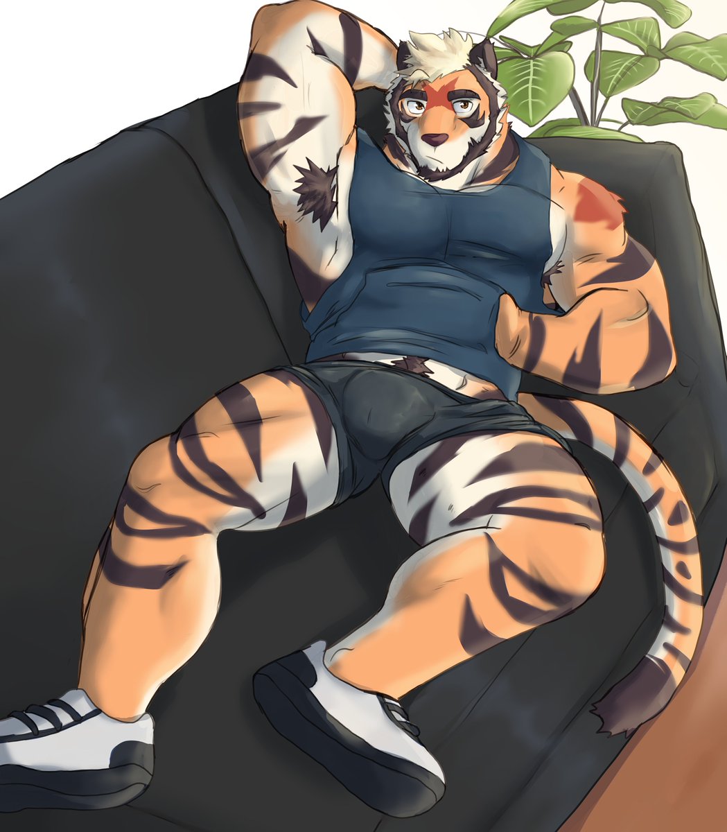 BeastSauc3's tweet photo. what do you mean you want to sit? There's plenty of room to sit on https://t.co/0Tb8OcDDYt