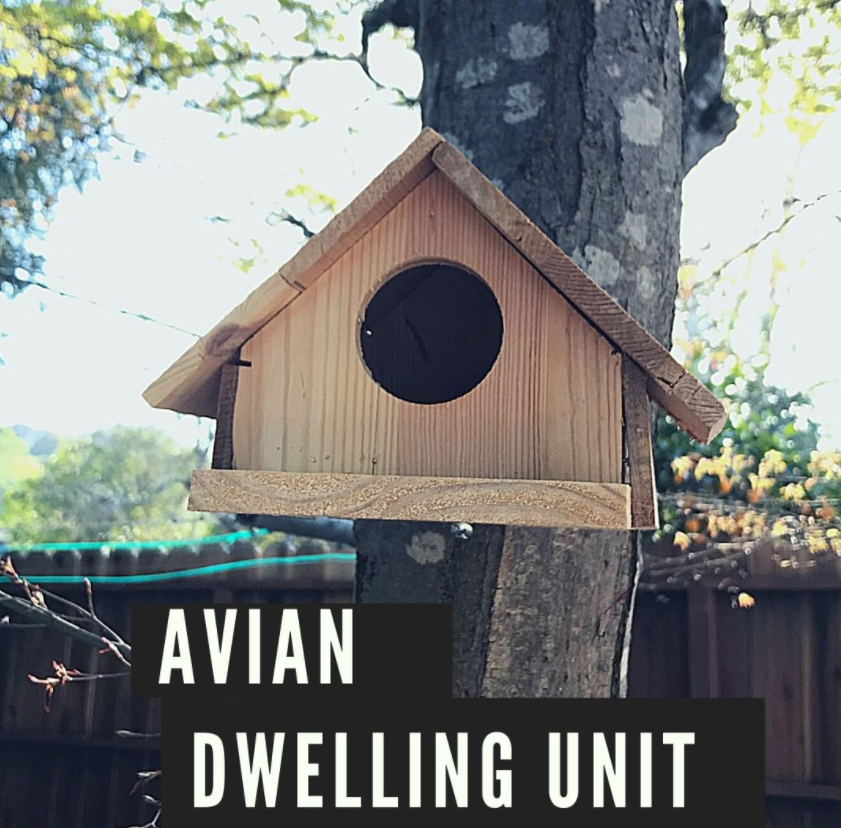 Inspired ADUs tweet media