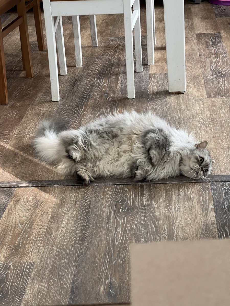 <a href="/relicofthepast/">Relic of the Past Podcast</a> <a href="/PenanceRPG/">Penance RPG 🐉 🏳️‍🌈 🐀</a> <a href="/terrible_party/">Terrible Party!</a> <a href="/TreasonNo/">Gunpowder, Treason, No Plot</a> <a href="/WebWitch81000/">👾 Nearly Blind Nut is Back?! 😹</a> <a href="/irafpodcast/">🎲... I Rolled A Four.🐉</a> <a href="/Muddlin_Through/">Muddlin Through</a> <a href="/StackODice/">Stack 🌻 Dice</a> <a href="/AnitaBridges2/">Anita Bridges</a> <a href="/xb0shi3x/">Brandalf the Blonde</a> <a href="/tykashow/">🐋</a> <a href="/DeGustafson/">Derek Gustafson (he/him) is Catface Games</a> @lionsoflegend <a href="/pwp_dnd/">🪄Power Word: Play🔥</a> <a href="/adora_belleD/">🇬🇧🇳🇿</a> @DangerDames @TheDice_Casters Morning Zoomies