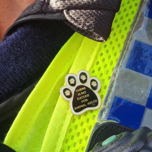 WYP_CNewsome's tweet image. 