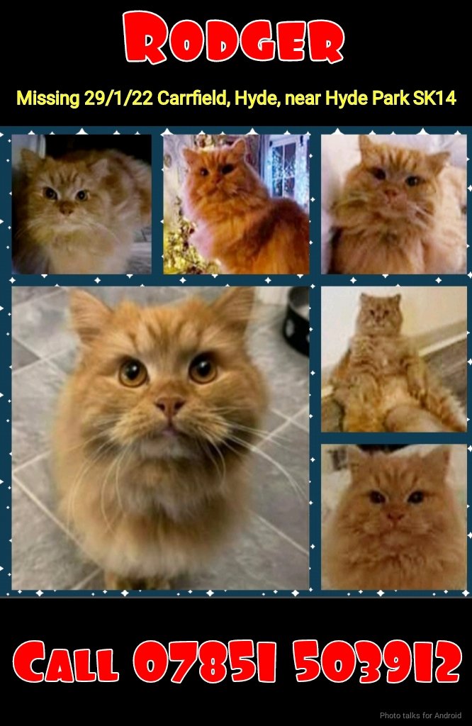 rejannealb's tweet photo. @JohnDaffern2 @MissingPetsGB Rodger needs your help to go home. Have you seen him nearby? Call his family!
#FindRodger https://t.co/numWVdKFG0