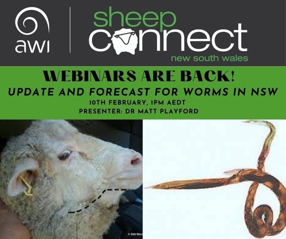 Our first webinar back is still a day away and we have had over 200 registrations!! 😯 So we sure picked the right topic to start on with an update and forecast for worms 🐛 in NSW with Dr Matt Playford from Dawbuts.

Register here 👉: bit.ly/3Gq9b4R
#sheepworms