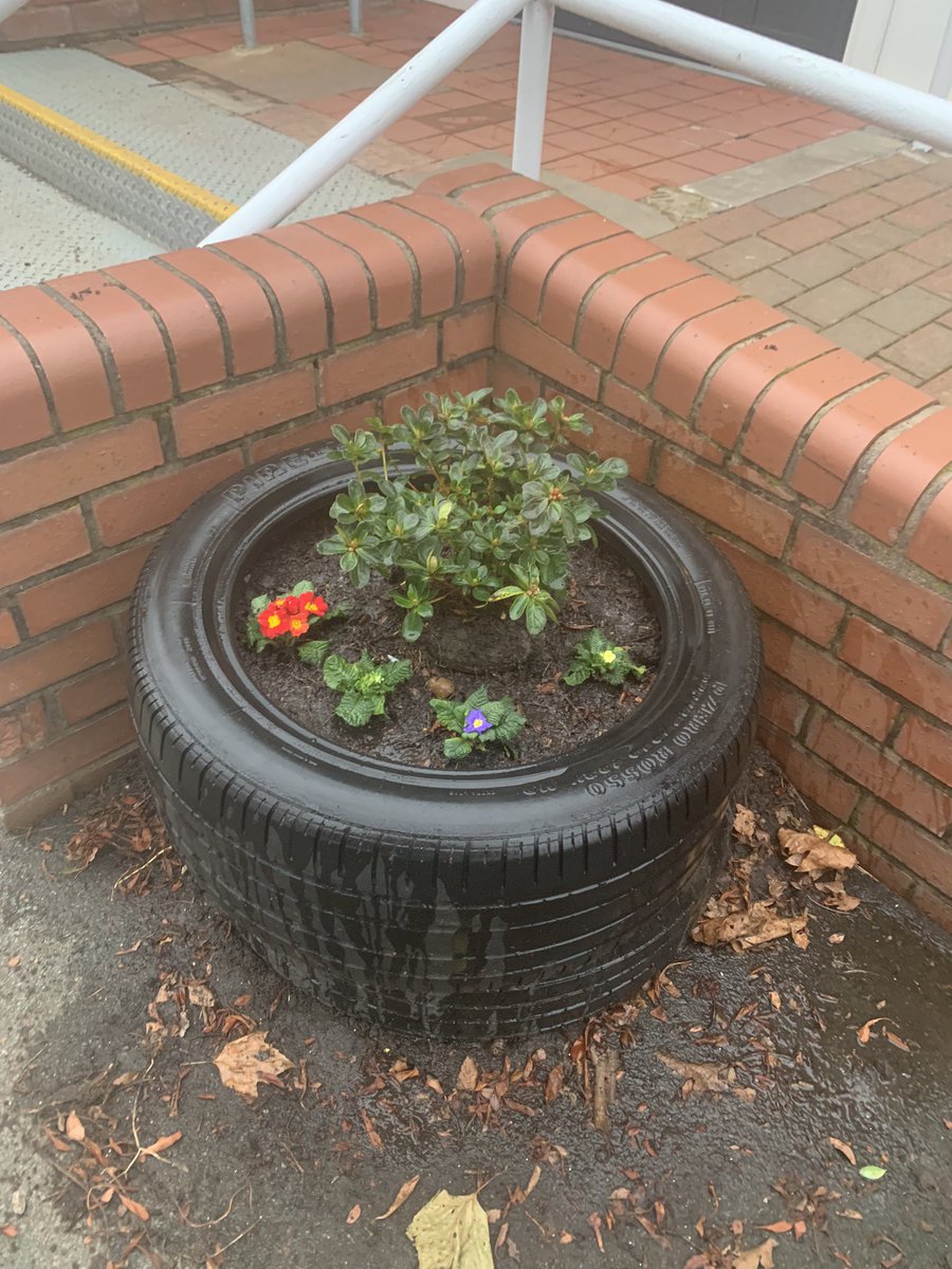 ABCPschool's tweet photo. Reception would like to thank gardening club for tidying up their tyres. #ABReception #ABGardening https://t.co/S1MVF63R66