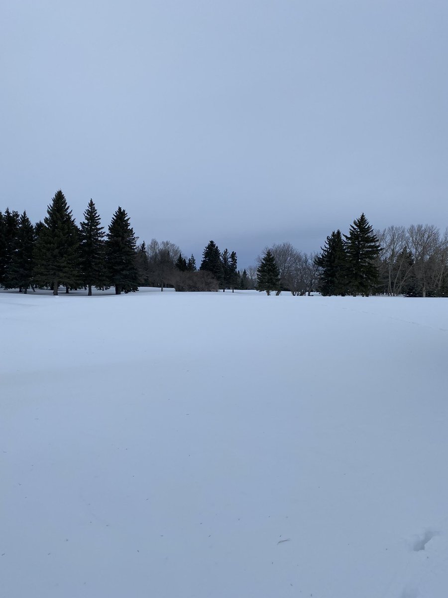 Myles Johb tweet media