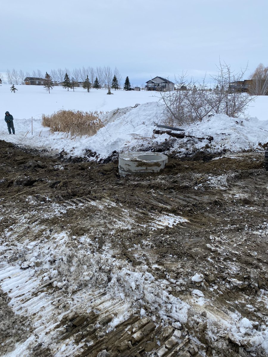 Myles Johb tweet media