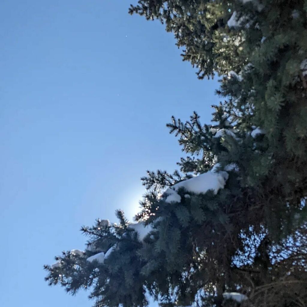 CathyBlogs's tweet photo. 27°, sunny; sidewalks still snow-covered, slick and hazardous, as they say, so no #stetwalk for me. But yet ... sunny.

#indianawinter https://t.co/WhTigIVvm7 https://t.co/UswOlipx67