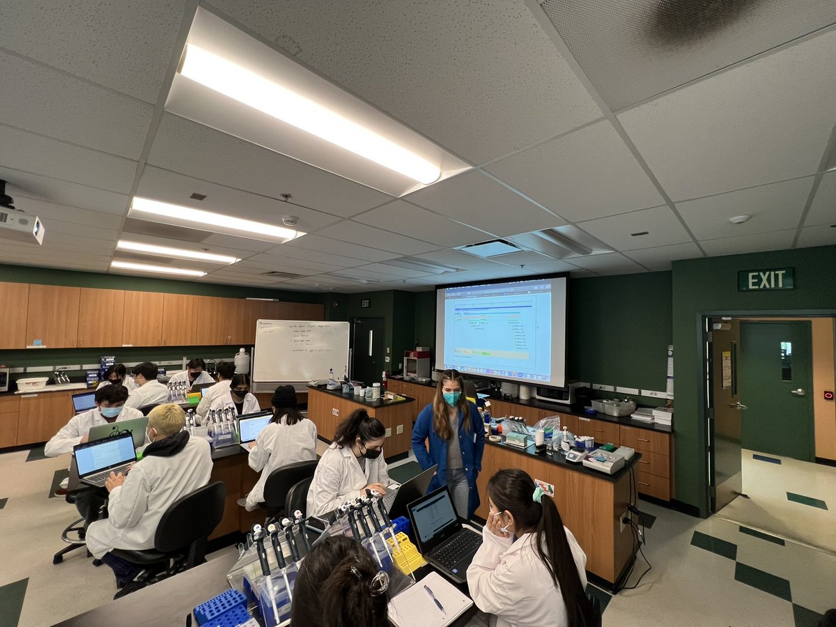 lexcortez's tweet photo. Our 1st-year students designing guide RNAs to knock out Arabidopsis genes for their research project this quarter. #CRISPR #Bio20
#UCR #SciencEd #AcademicTwitter #AcademicChatter #PlantScience #UndergraduateResearch
@UCRiverside @carolynplants https://t.co/UNhs1VgK6a