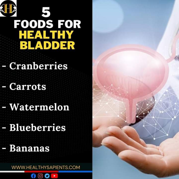 HSapients's tweet photo. Foods For Healthy Bladder
#health #bladder #bladdercontrol #HealthyFood #healthiswealth #HealthyLiving https://t.co/ogAGBtSAi6
