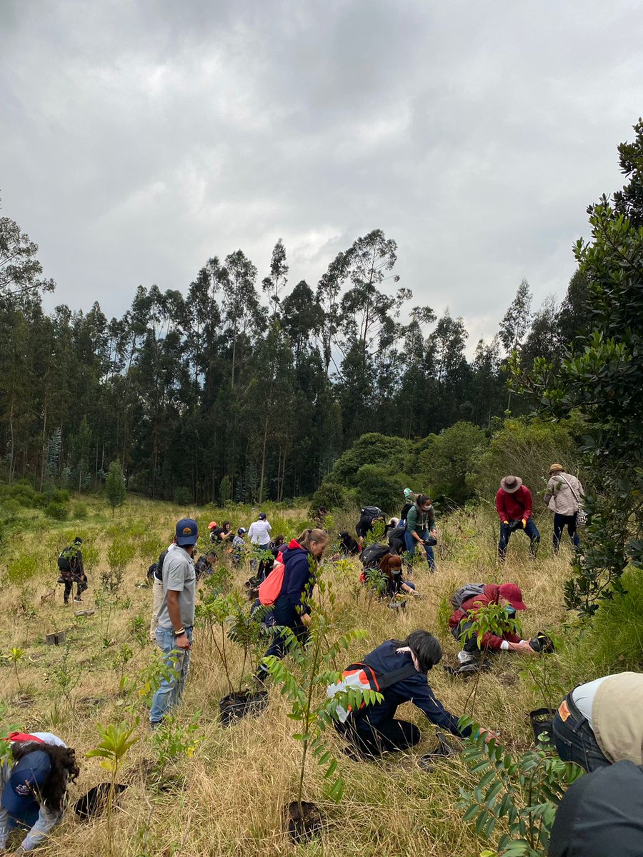coem_latam's tweet photo. En ese sentido, en @perilandpark, nuestros colaboradores han aprendido de primera mano sobre la relevancia de la conservación de nuestros ecosistemas. Asimismo, estamos fortaleciendo una visión productiva integral en la que podemos ser más competitivos cuidando el Planeta. https://t.co/ZUK0EKhjTR