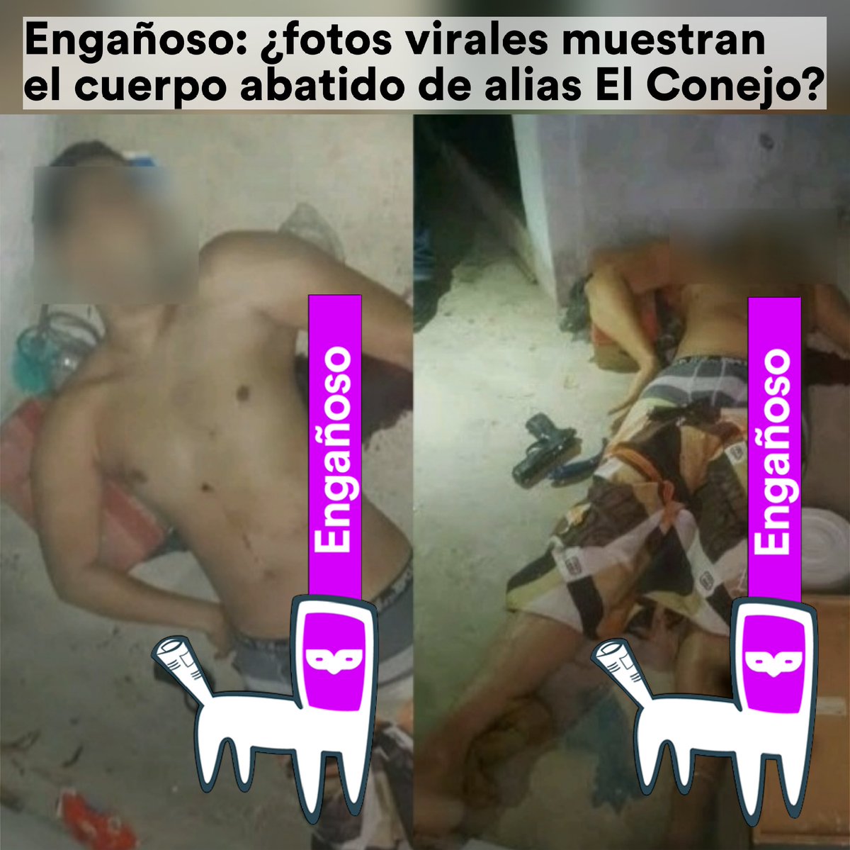 cazamosfakenews's tweet photo. Engañoso: ¿fotos virales muestran el cuerpo abatido de alias El Conejo?

Fotos que circulan sobre el cuerpo de El Conejo, son #ENGAÑOSAS.

Las fotos fueron publicadas en Twitter en 2016. El cuerpo mostrado sería el de Deivi Rojas, otro delincuente ultimado en junio de 2016

#CFN https://t.co/Kglvi3CQly