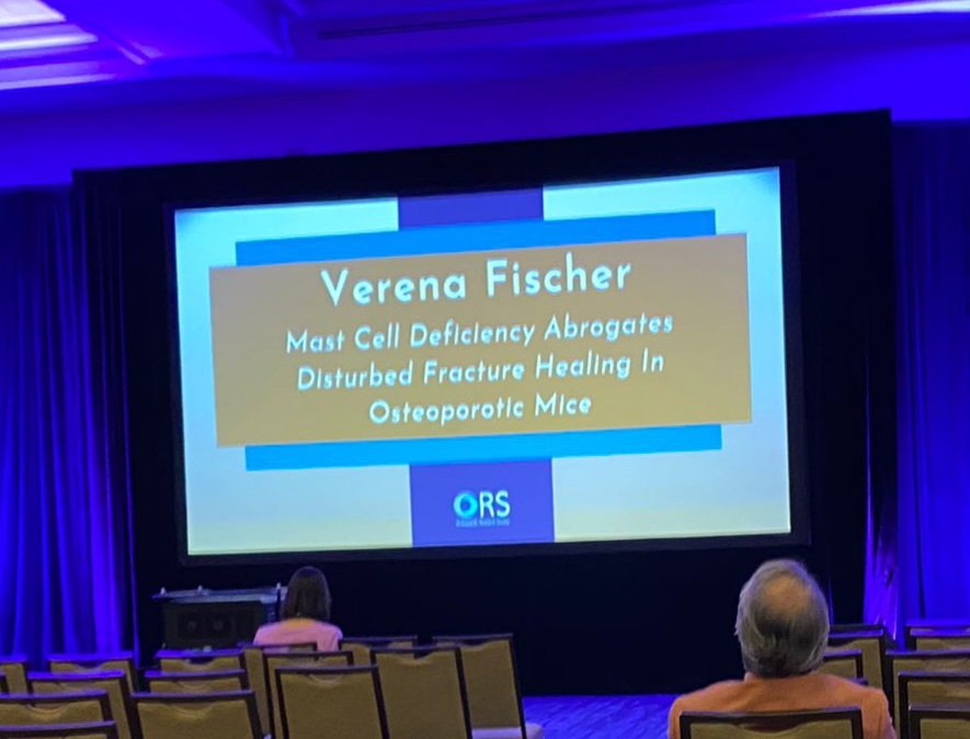 Verena Fischer tweet media