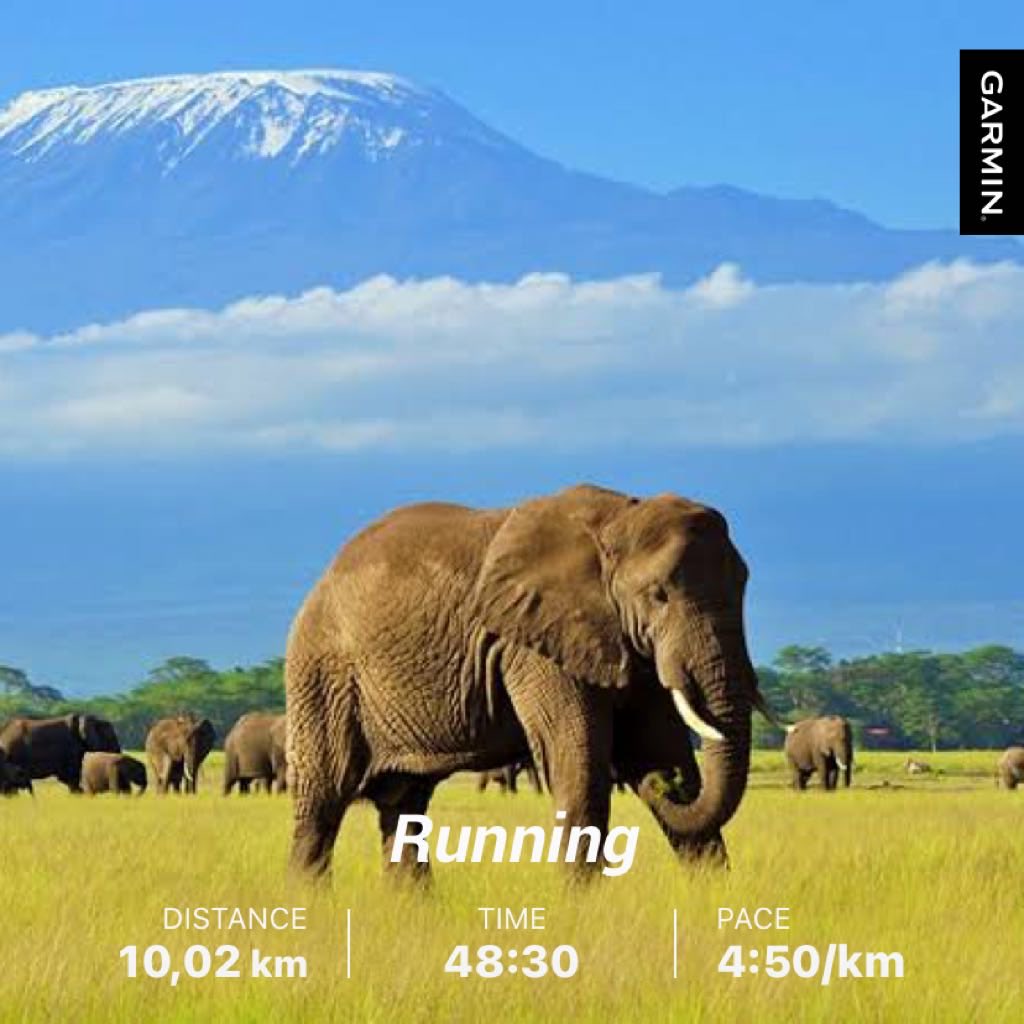 ShimmyMacomo's tweet photo. “Running takes balls, other sports playing with them” 

#Garmin
#NoRunIsABadRun https://t.co/6LxlJ01HRf