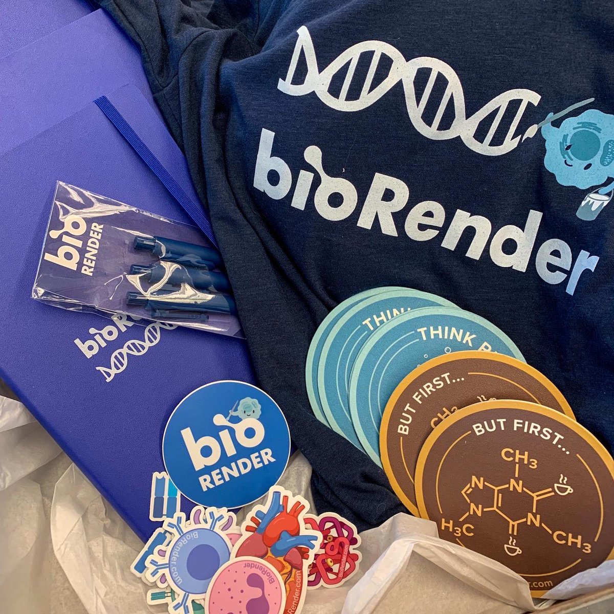 ShikanovLab's tweet photo. we ❤️ @BioRender 

#gofollicles #reproductivebiology #womeninstem #steminist https://t.co/S2fgeveGpV