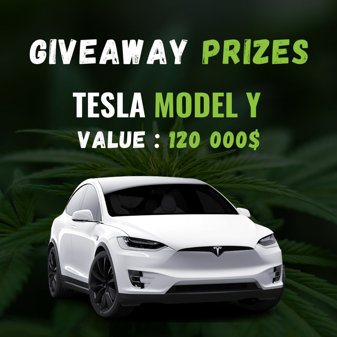 koolbudsnft's tweet photo. 1 Lucky Kool Buds owner will win this incredible Tesla  Model Y 👀

You will need to own at least 1 to participate.

Consequently, by owning more than 1, you will have more chances to win.

More details on our website: https://t.co/3orHW7ccK8 https://t.co/BpyryRgjFt