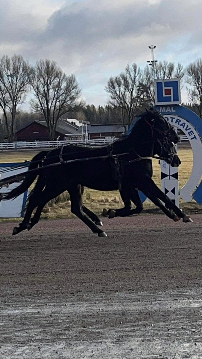 Vänner håller ihop, Mijanou &amp; Bellissima Unica