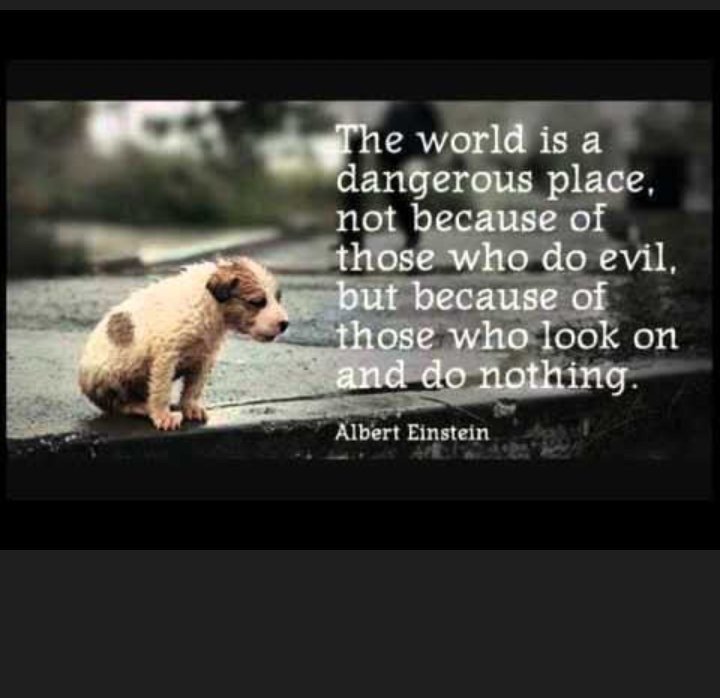 "The world is a dangerous place, not because of those who do evil, but because of those who look on and do nothing."

- Albert Einstein