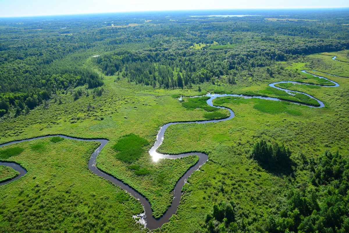 Research Scientist <a href="/CedarCreekESR/">Cedar Creek ESR</a> <a href="/umncbs/">UMN CBS</a>: Interested in full-time #research at a fantastic field station &amp; <a href="/USLTER/">US LTER</a>? Apply to join our team!  #ecology #ecosystems 

cedarcreek.umn.edu
hr.myu.umn.edu/jobs/ext/345839
drive.google.com/file/d/1otlkVw…