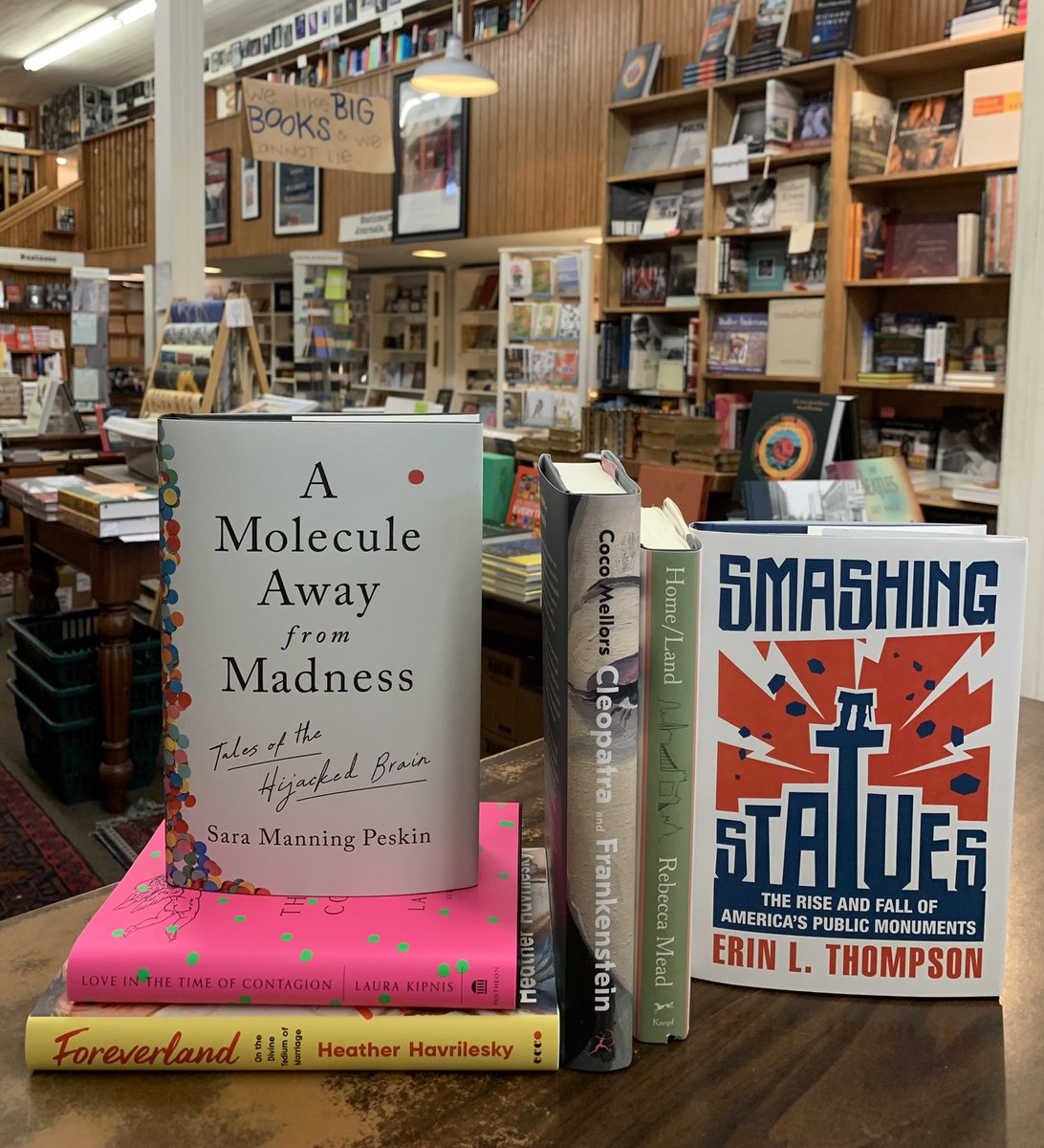 📢 It’s New Release Tuesday 📢 @HogarthBooks @penguinpress @DuttonBooks @wwnorton @laurakipnis @PantheonBooks @hhavrilesky @eccobooks @BloomsburyPub @Rebeccamead_NYC