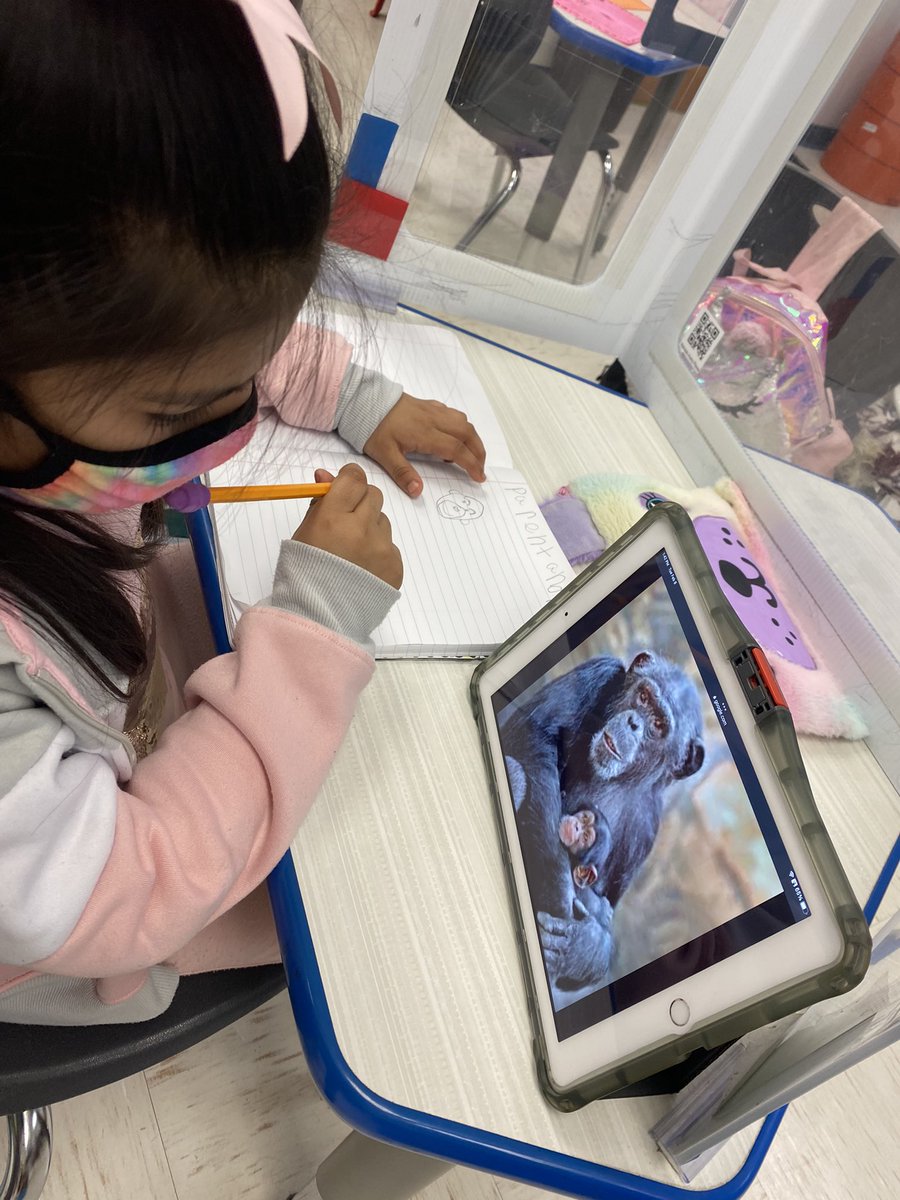 Science Research: First grade students were doing a quick lab this afternoon. Finding a picture of an animal and it’s young and writing how the animal are alike and different. TEKS 10C <a href="/MPena220/">Mindy Pena</a> #TravisRocks <a href="/HarlingenCISD/">HCISD</a>