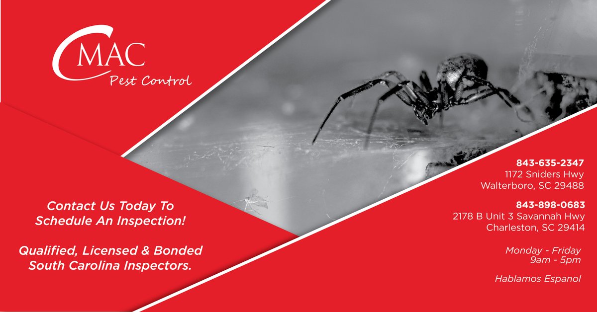 CmacPest's tweet image. 