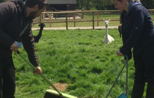 ReaseheathZoo's tweet photo. We're already taking bookings for our Keeper for a Day events in April. If you're a future keeper in the making, or just fancy spending the day looking after our animals, please check the availability on our website here https://t.co/wTIenbO76J 
#KeeperForADay #zoolife #Cheshire https://t.co/K0BYlZNyuw