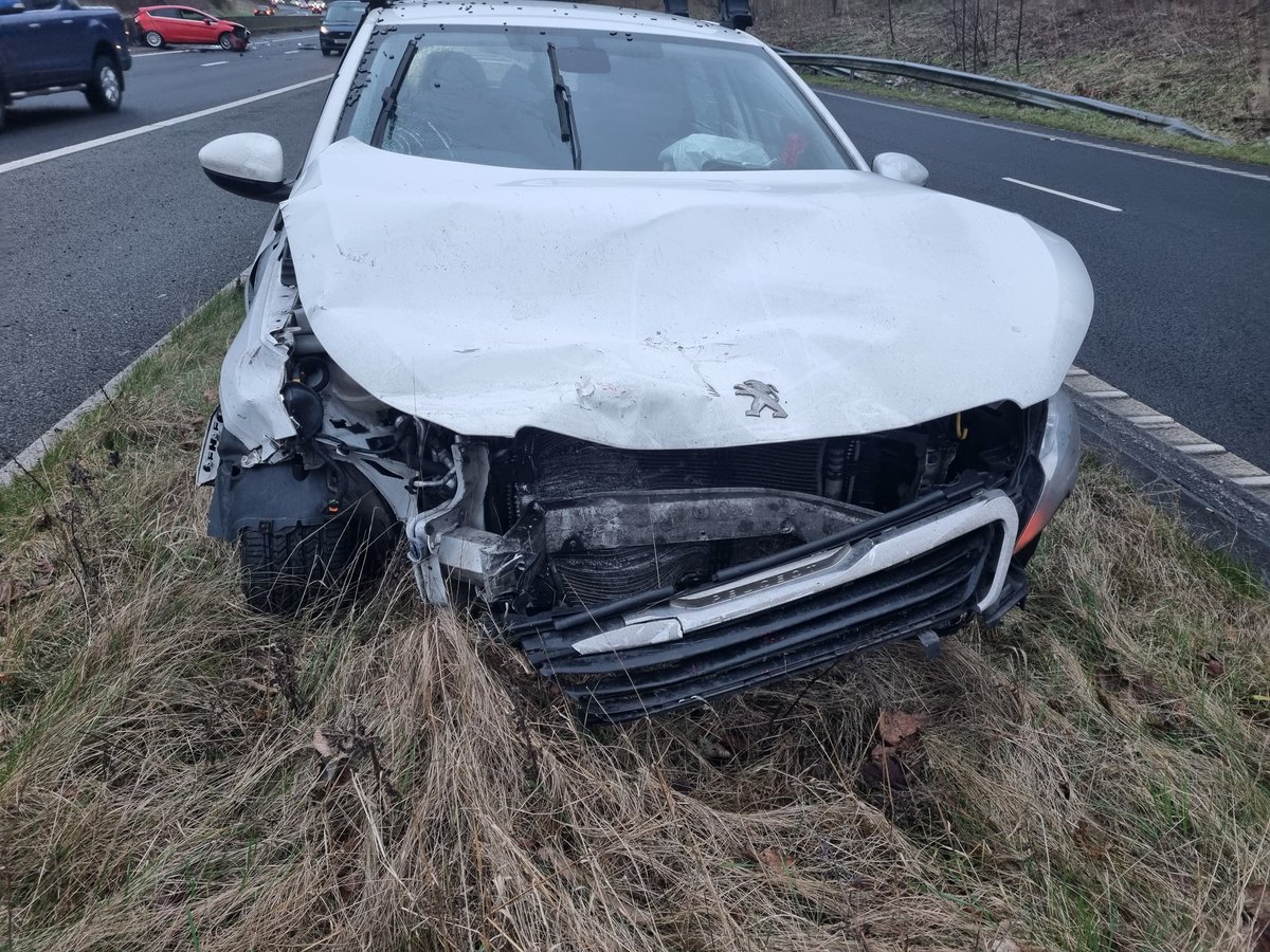 Donna Solessi tweet media