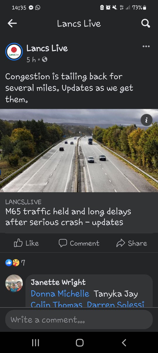 Donna Solessi tweet media