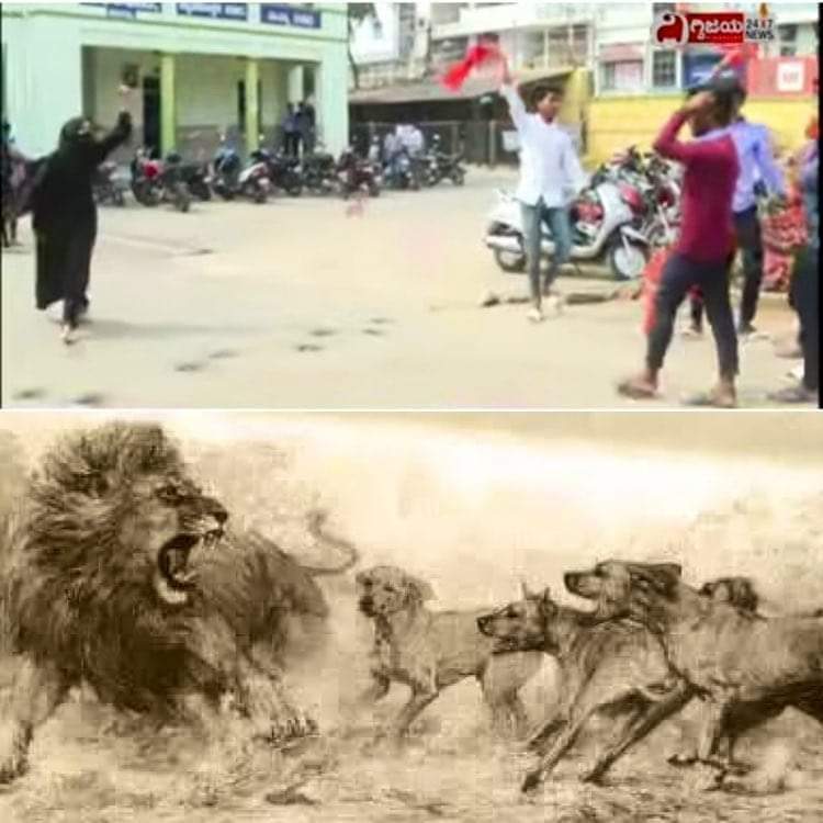 sohailAA786's tweet photo. #Kutte jhund me aate hain...
#Sher Akela hi aata hai...
#AllahuAkber https://t.co/dZLjGFLsVy
