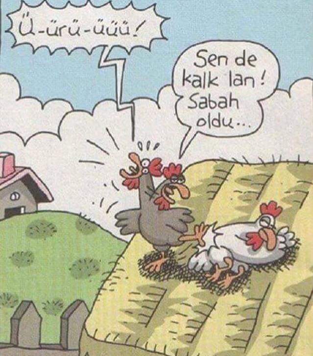 Bir de dışarıya olabildiğince medeni, yakın çevresine oldukça insanliktan çıkmış bir karakter sergileyen tipler var.

Buna ne demeli...