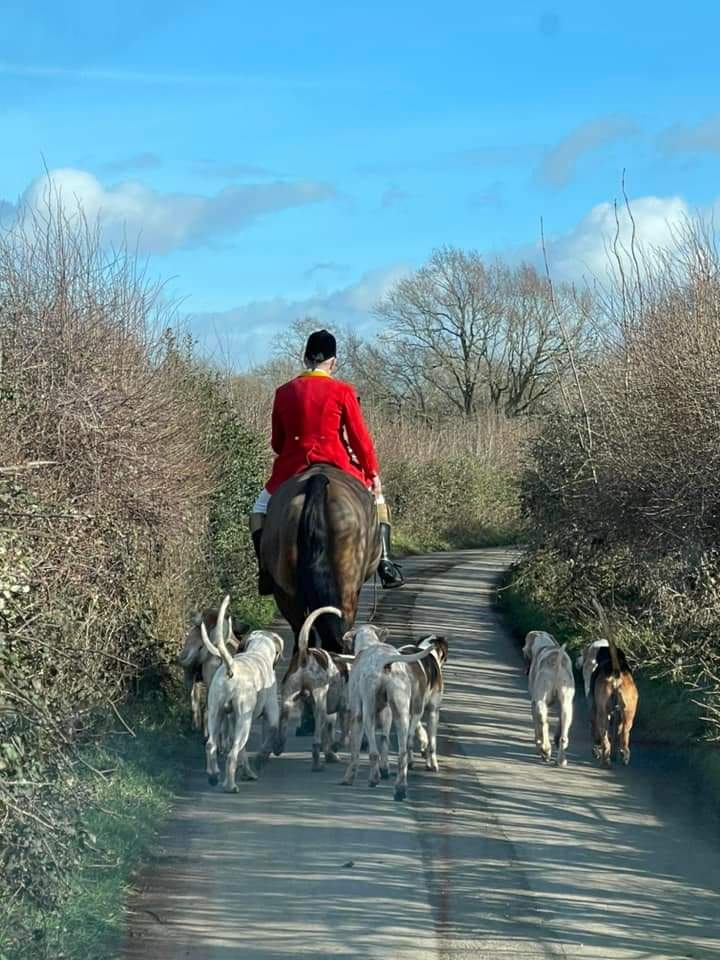 East & West Kent Hunt Sabs (@hunt_sabs) on Twitter photo Piss poor turnout by the Ashford Valley this Saturday with sabs outnumbering them 2 to 1! Game over by 3.30. Thanks for joining us <a href="/SCoastHuntSabs/">South Coast Hunt Sab</a> Piss poor turnout by the Ashford Valley this Saturday with sabs outnumbering them 2 to 1! Game over by 3.30. Thanks for joining us <a href="/SCoastHuntSabs/">South Coast Hunt Sab</a>