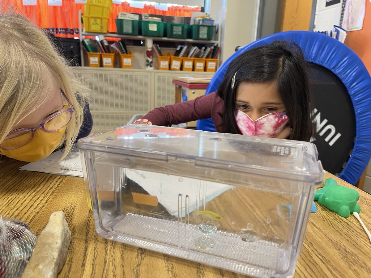 Jim Sonju tweet media