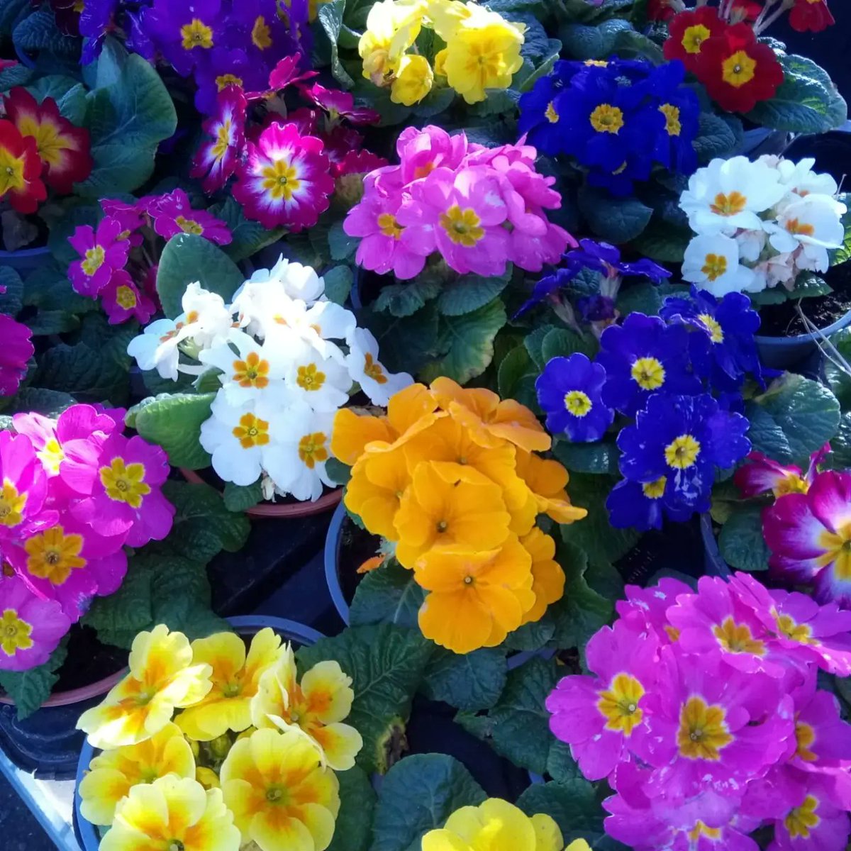 A little sunshine goes a long way.