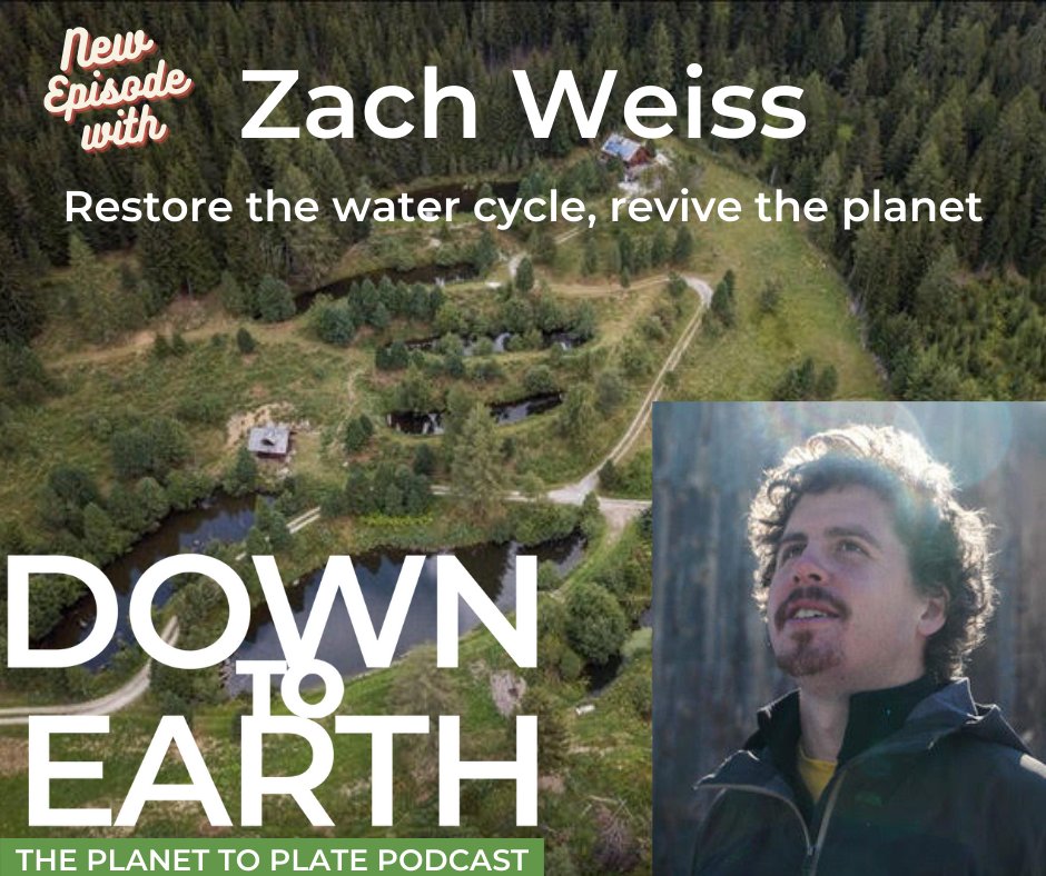 New DTE episode! Zach Weiss has seen land so degraded that even weeds couldn’t grow…and helped transform it into healthy, living landscapes by changing the flow of water and letting nature do the work. The implications are huge.

quiviracoalition.org/dte-episode-11…