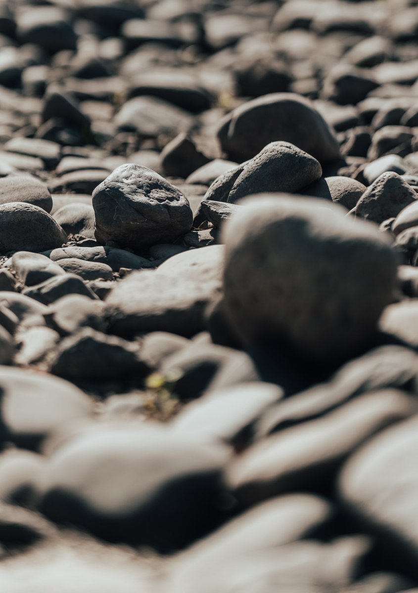 brewpanda21's tweet photo. 👁 Sigma 85mm 1.4 ART DG DN
📸 pandaphotographyaz

#sonyalpha #sonya7iv #sigma #sigmaphoto #sigma85mmart #opticalwander #streetphotography #life #encouragement #azphotographer https://t.co/SoHOpknuoX