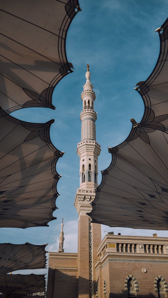 31_athar's tweet photo. #خلفيات #خلفية #صور #صورة #خلفيات_ايفون #خلفياتhd #خلفيات_آذار #تغذية_بصرية #Wallpapers #wallpaper #المدينة #المدينة_المنورة #الحرم_النبوي 🕌✨ https://t.co/5UZjLjUcM7