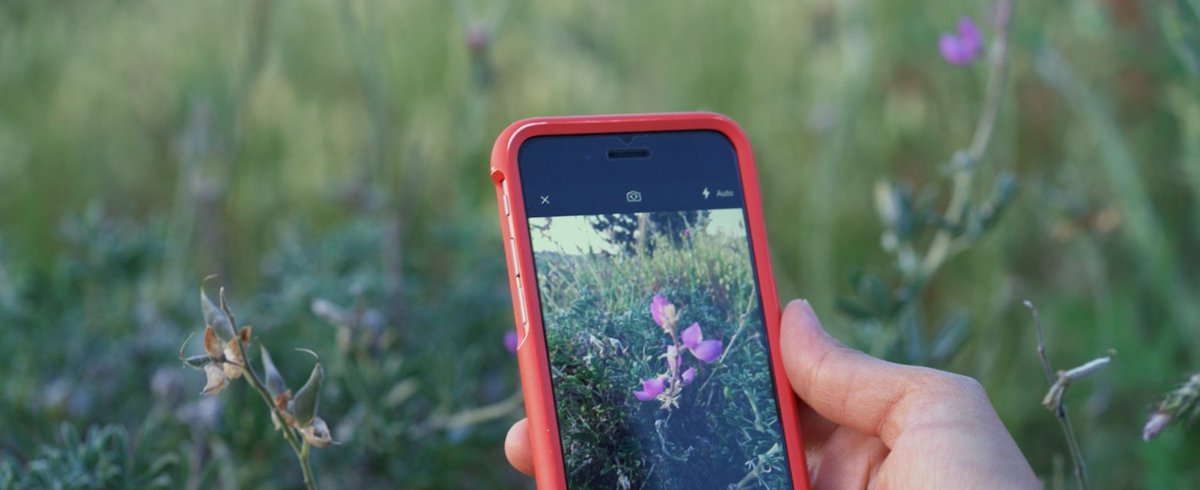 удалось сфотографировать