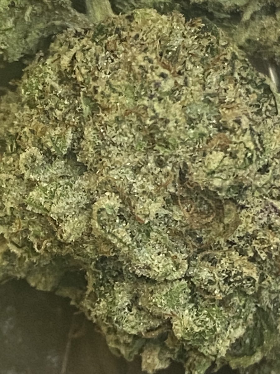 Happy Taco-Terp Tuesday 🌱 What strain do you pair with your Taco Tuesday dinner?