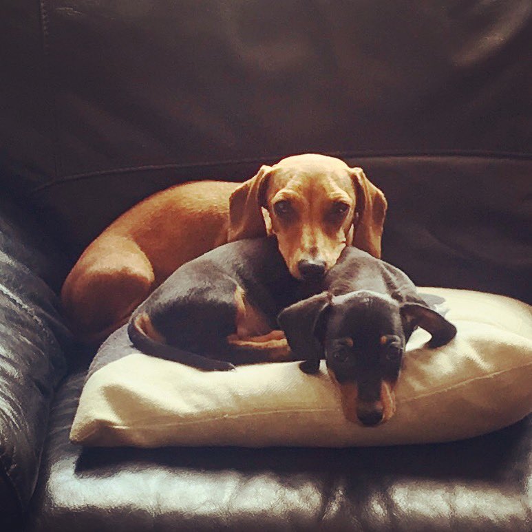 Charm2223 NFT tweet media