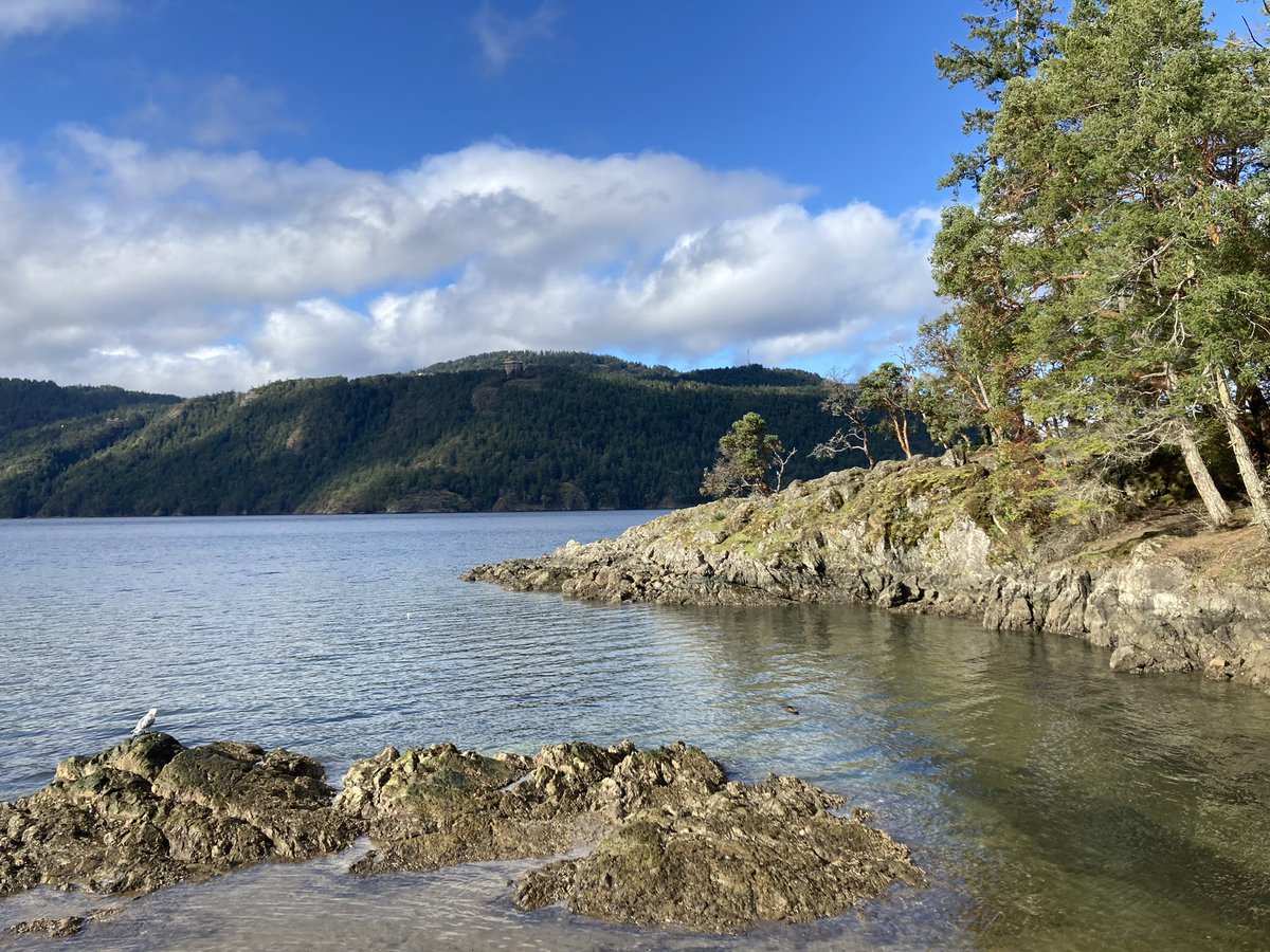 lcddillon's tweet photo. Beautiful Vancouver Island (well the bits that aren’t being developed) @LesClefsdOrCAN @MalahatSkywalk #yourkeytoeverything https://t.co/SIAJFU2YMU