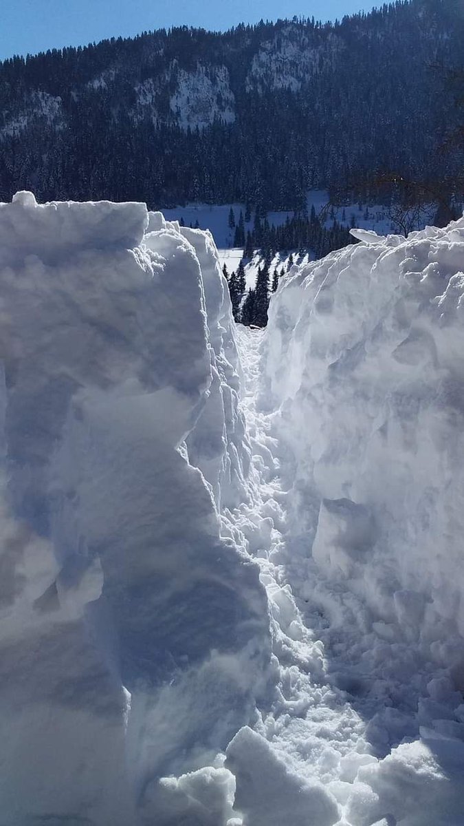 Göç yolu;
her süzülüşün hüzün yüklü kanatları,
bir konuş bir göçüş hayatları...

Konar göçer bir hayattı düşümüz,
donar göçer oldu encamımız,
yerleşmek bizim neyimize?