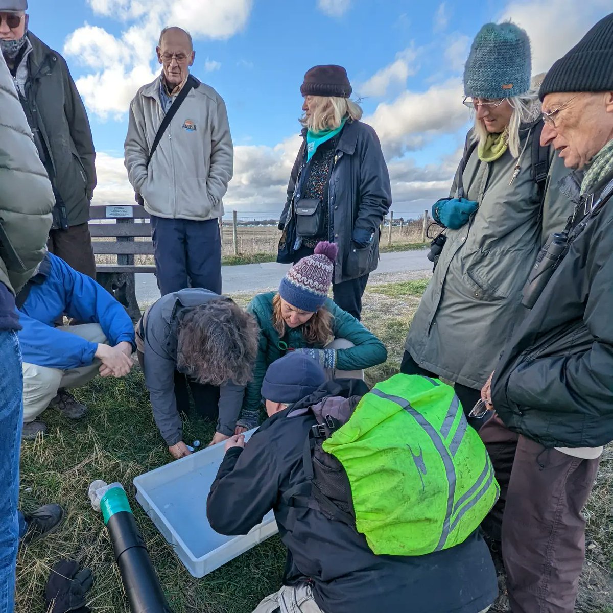 Louisa_Crispin's tweet photo. Mini beasts found along the edge of the salt marsh at Rye Harbour Nature Reserve today with the insect watch group ... these are all teeny tiny!
@ryeharbour_NR #insectwatch #ryeharbournaturereserve #minibeasts #spider #saltmarsh #16spotladybird #4jawedspider #truebugs https://t.co/Z99EXXfrPn
