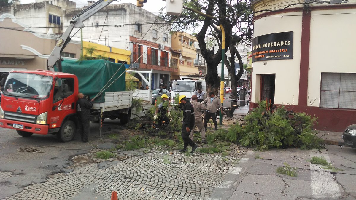 ⚠️Atención Miércoles 9/02 Hs 08:30 Corte total y desvío en avenida Jujuy y Mendoza y en Pellegrini y San Juan para retiro de árbol con riesgo de ceder en Mendoza y Pellegrini 

🛑 Evitar la zona  

↪️ Usar vías alternativas