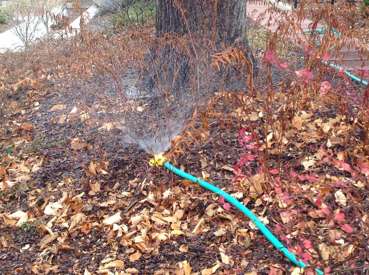 Take advantage of the warm weather and water. This is our number one call/email today. Check with a screwdriver before watering to make sure the ground is not frozen. Don't forget to take the hose off the spigot when done. #NebExt #NeWX