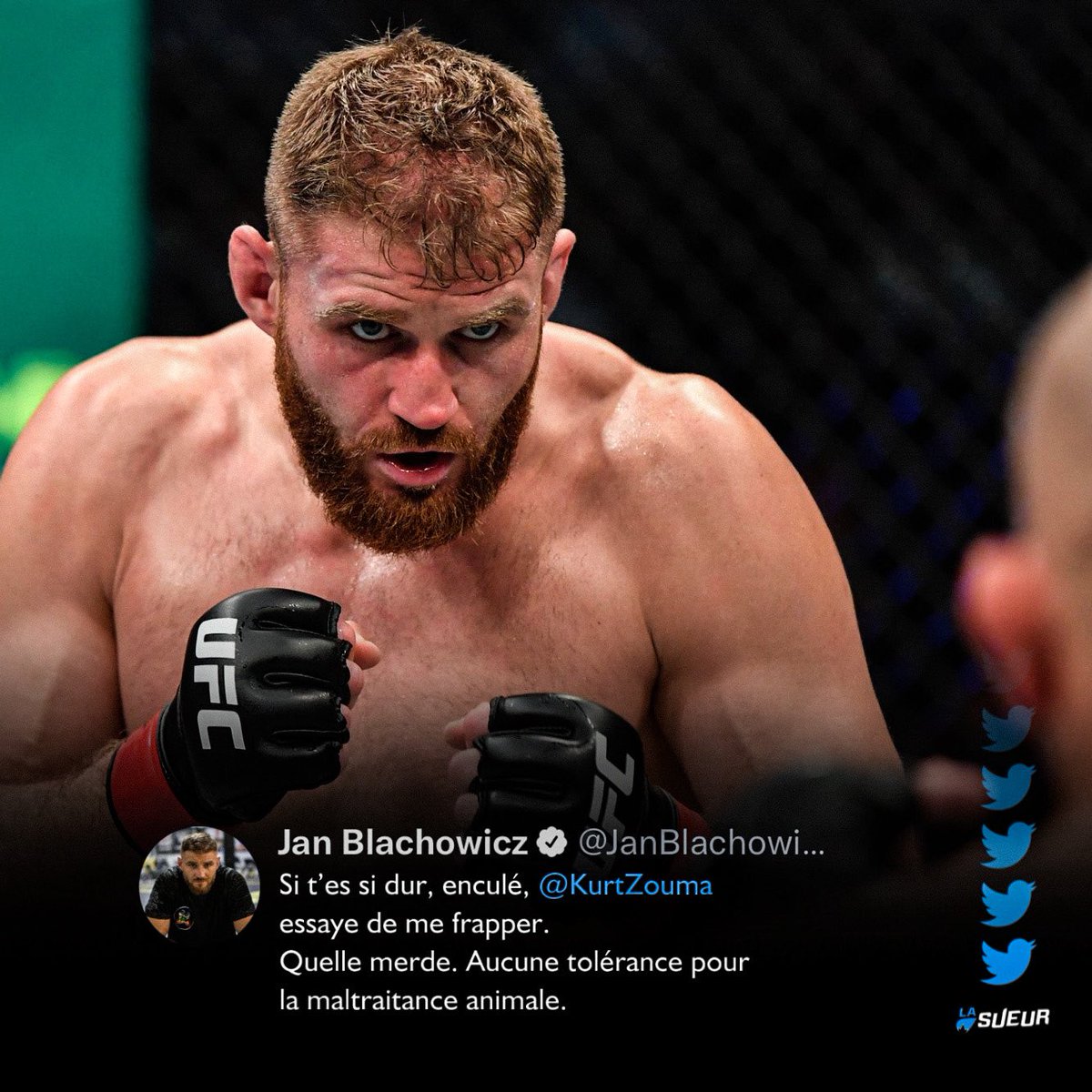 LaSueur_off's tweet photo. Jan Blachowicz et Muhammad Mokaev veulent la peau à Kurt Zouma 😬 https://t.co/uF4Mj3uQjo