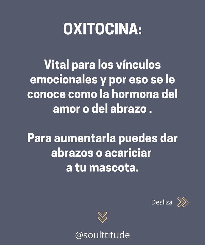 LynnAguirre's tweet photo. Buen consejo 📌
Como activar las 4 hormonas de la felicidad https://t.co/VyQzONy1rf
