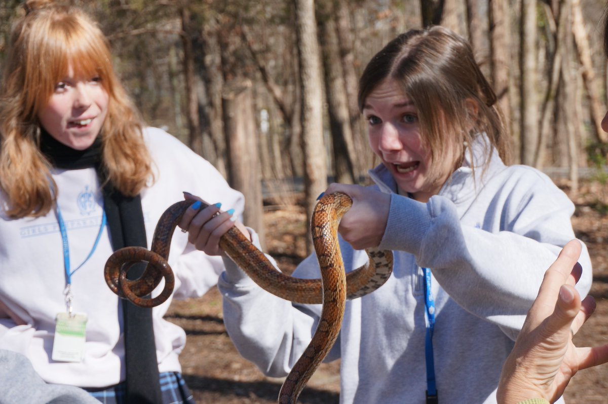 triverfellows's tweet photo. Maligned animals have many benefits to humans! 🐍💕. Freshmen river fellows loved meeting the animal ambassadors @ the nature center. We met a corn snake, opossum &amp; a red-shouldered hawk as well as learned about the interconnectedness of local animals and local waterways. https://t.co/KpBdNeziqT