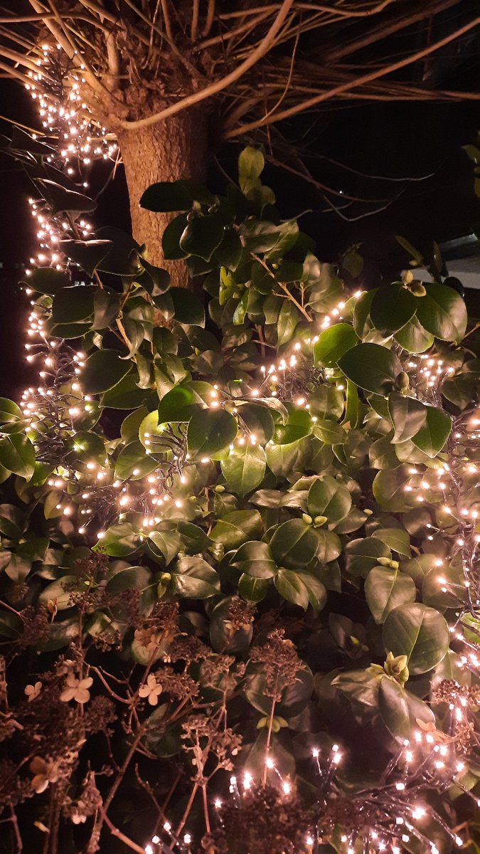 Dave Absp⭕el tweet media