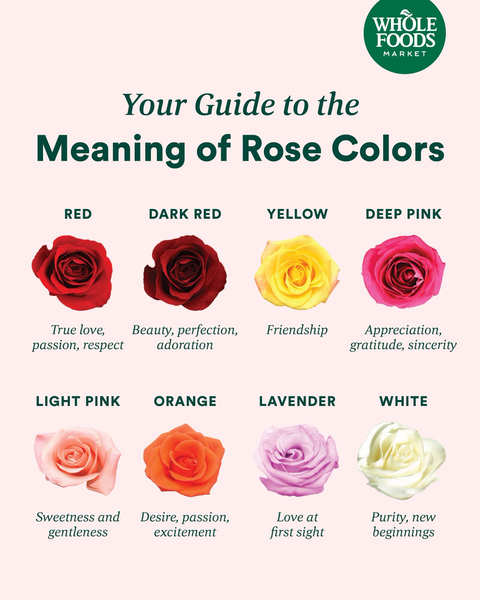 Use our rose color guide to help you pick the perfect bouquet for your special someone. What color 🌹 are you going with? #wholefoodsmarket 

Pro tip: Save now through 2/15 during our Double Dozen Bunch of Roses sale. ❤️ Restrictions apply.