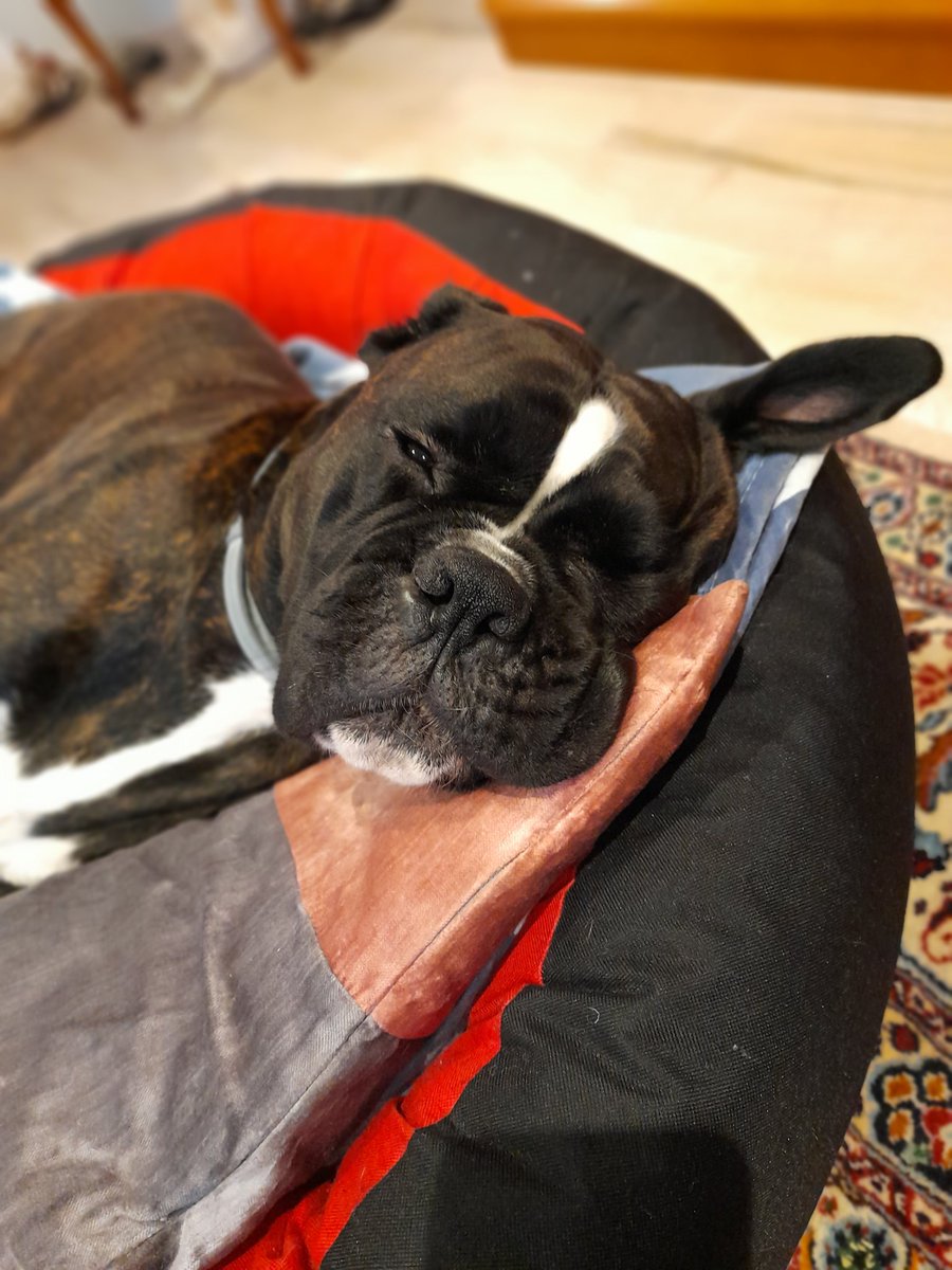 Linus ist sooooo müde.